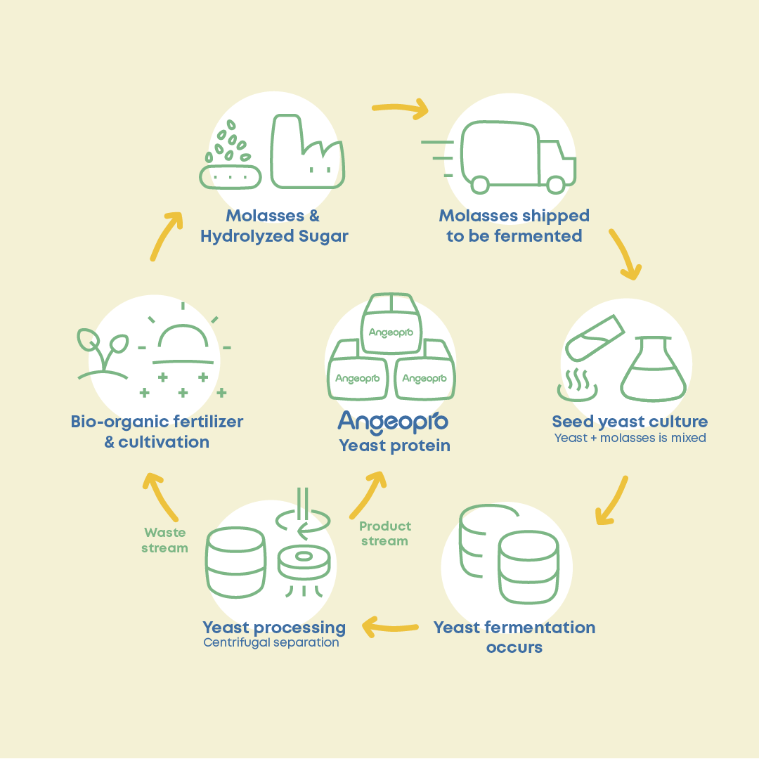Plan de travail 11.png Plan de travail 11.png