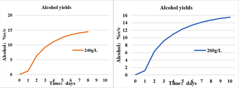 Sugar concentration, 240-260 grams per liter.jpg Sugar concentration, 240-260 grams per liter.jpg