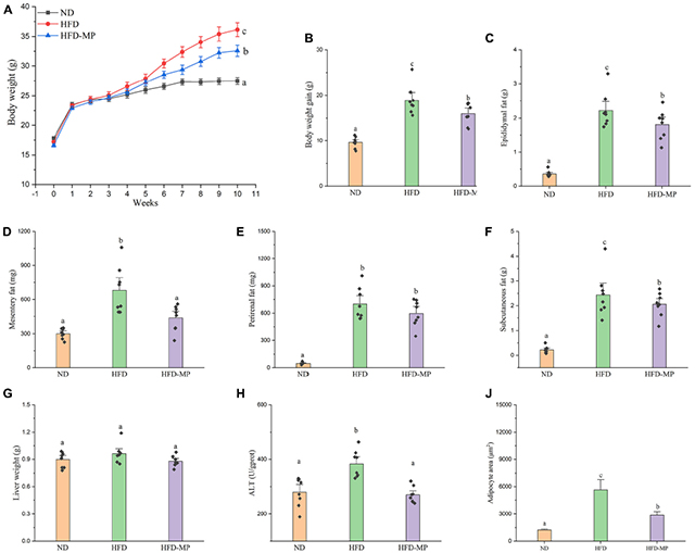 The-effects-of-high-fat-diet-and-mannose-protein-intervention-on-the-physical-characteristics-of-mice.jpg The-effects-of-high-fat-diet-and-mannose-protein-intervention-on-the-physical-characteristics-of-mice.jpg