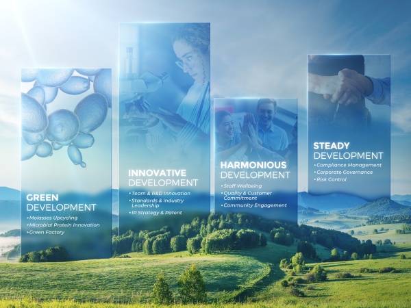 Angel Yeast Unveils 2024 Sustainability Report, Showcasing Commitment to Green Practices and Innovation