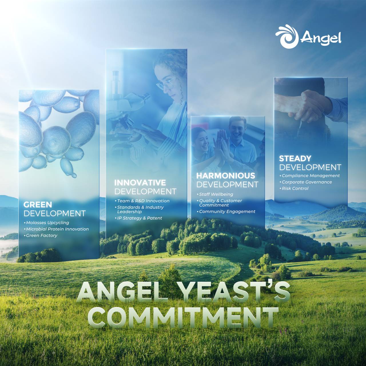 Angel Yeast Unveils 2024 Sustainability Report, Showcasing Commitment to Green Practices and Innovation Angel Yeast Unveils 2024 Sustainability Report, Showcasing Commitment to Green Practices and Innovation