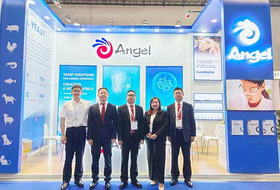 Discover Natural and Safe Animal Nutrition Solutions with Angel Yeast at ILDEX Philippines 2025
