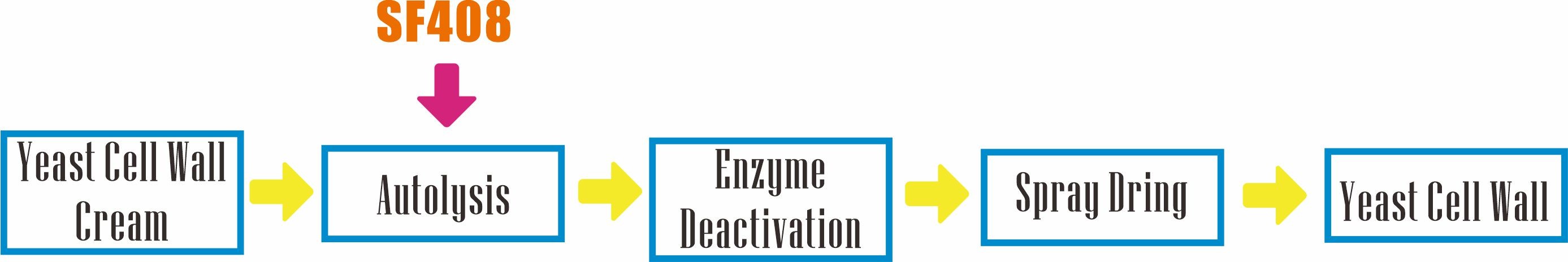 Production processing of yeast cell wall with Annzyme® SF408.jpg