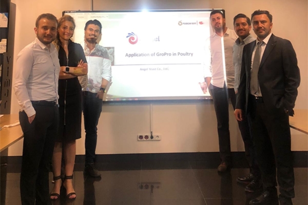 600400_hd(1)_副本.jpg 600400_hd(1)_副本.jpg