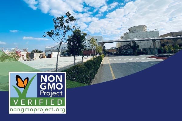 Angel Yeast Egypt gains NON-GMO Project certification