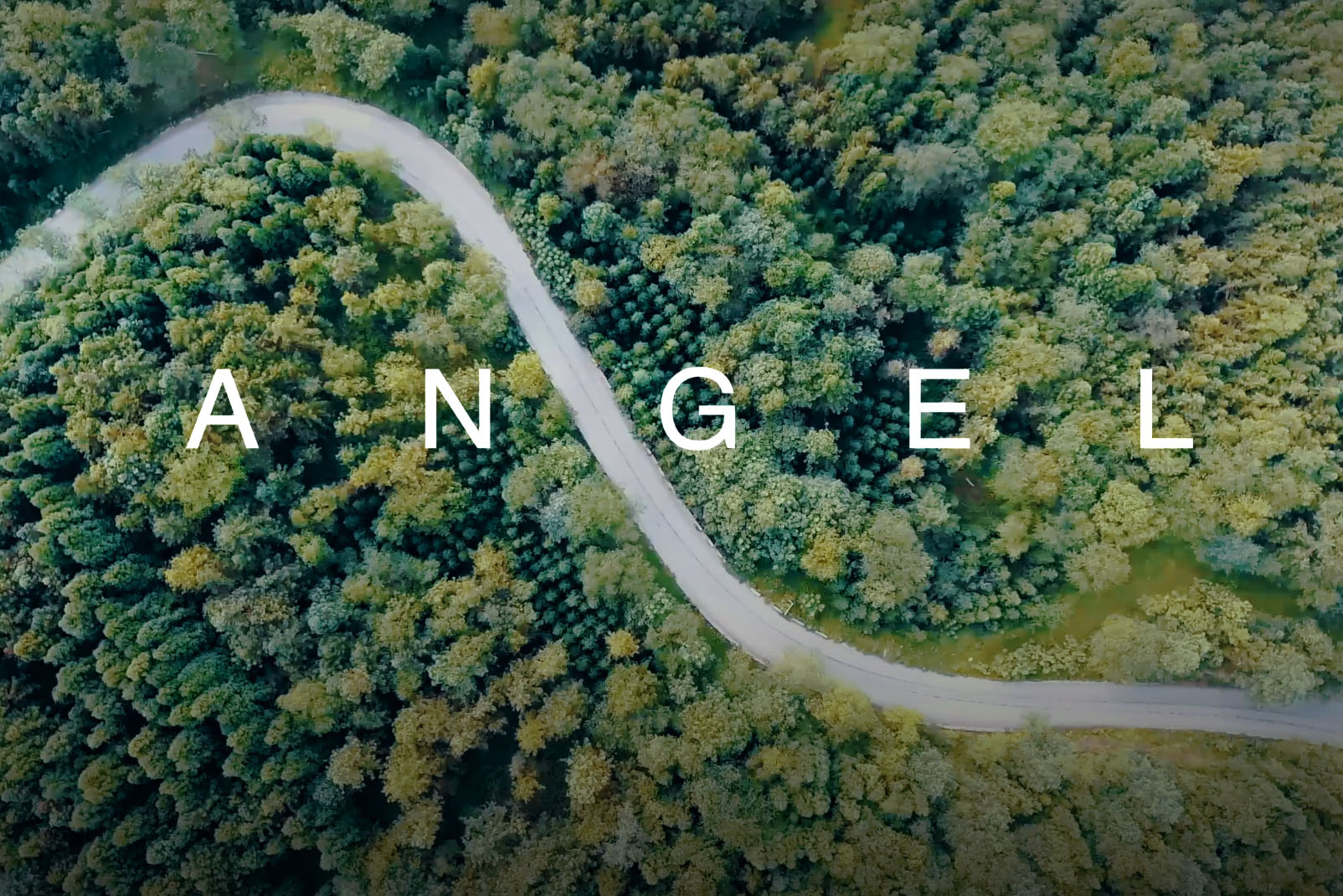 New Video Angel's Purpose and Values