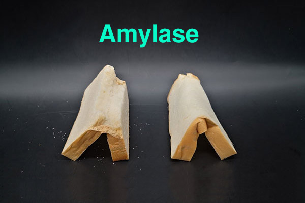 Application of amylases in baking industry