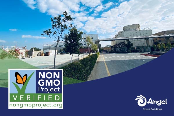 1_画板 1.jpg 1_画板 1.jpg