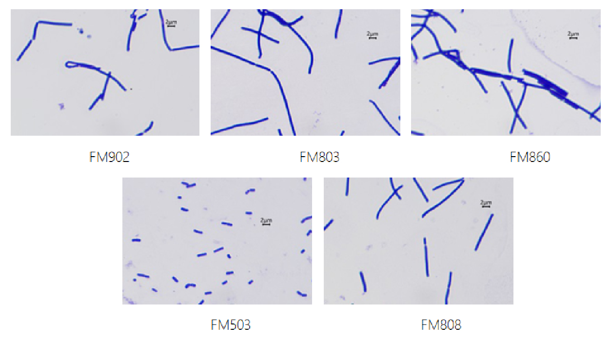 YEF-03.jpg YEF-03.jpg