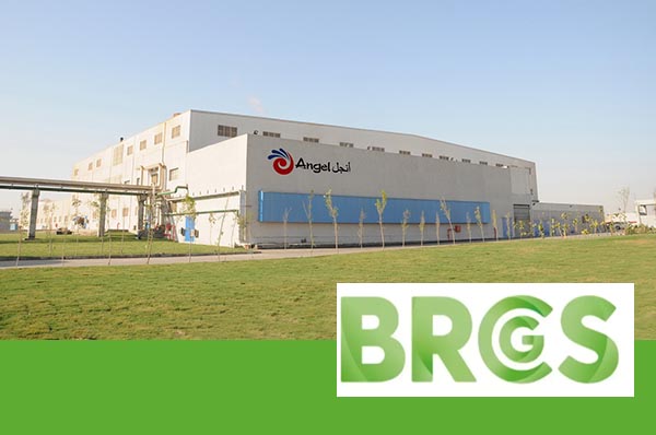 Angel Subsidiaries in Egypt and Chongzuo City Pass BRC Audit
