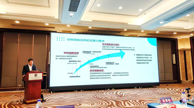 Angel's Provision of a New Direction for 