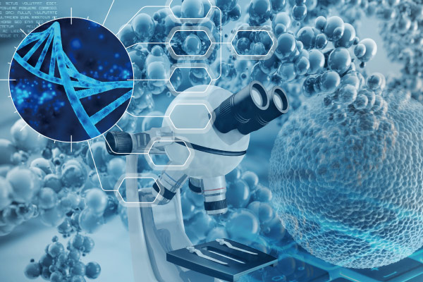 Application of Active Yeast Powder in Biocatalysis