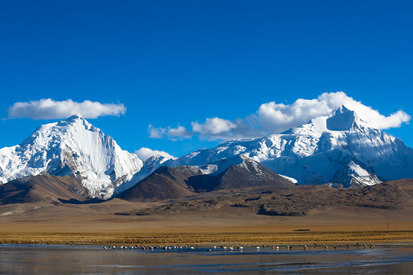 111111.jpg 111111.jpg