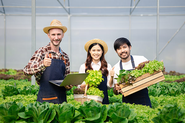 The Power of Yeast in Plant Nutrition