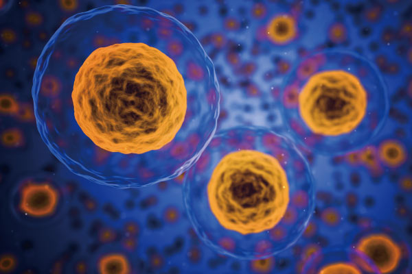 How plant peptones are emerging as a sustainable organic nitrogen source for fermentation and cell culture media