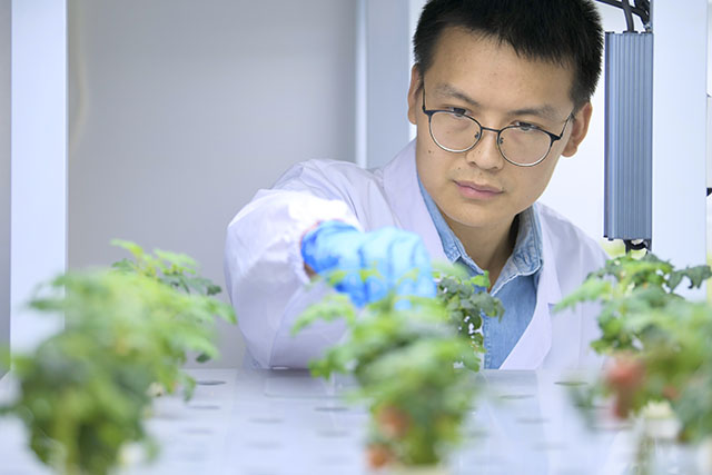 Environment Day 2023: Angel Protects the 