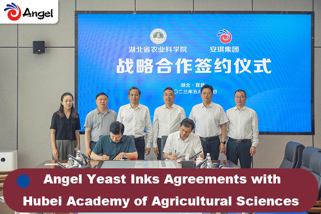 Angel Yeast Inks Agreements with Hubei Academy of Agricultural Sciences to Boost Agricultural Industrialization