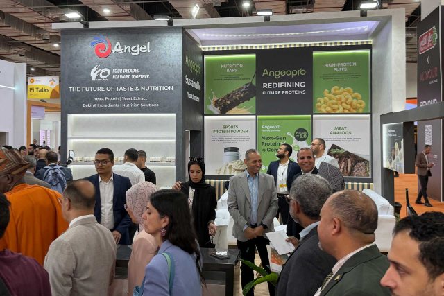 Angel Yeast Participates in Fi-Africa 2026 in Cairo