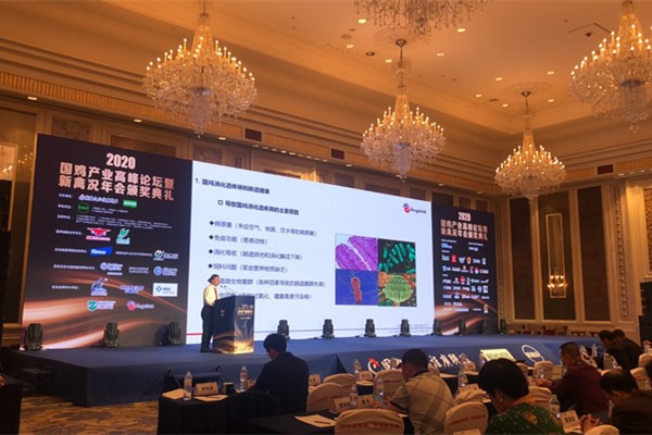 600400国鸡会2_副本.jpg 600400国鸡会2_副本.jpg