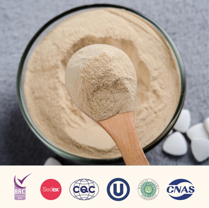 Angel yeast beta glucan.png Angel yeast beta glucan.png