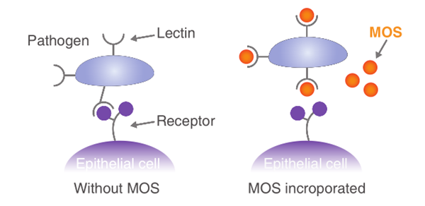 600微信截图_20200729154831.png 600微信截图_20200729154831.png