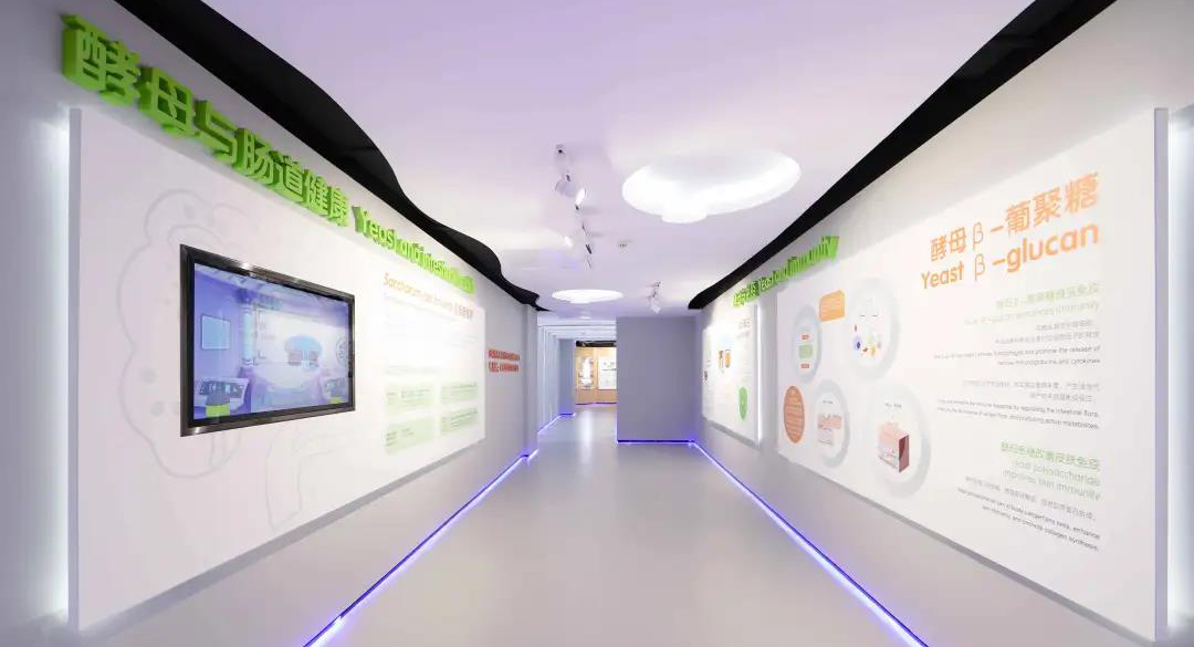 Yeast Nutrition Technology Museum-yeast and intestinal health.jpg Yeast Nutrition Technology Museum-yeast and intestinal health.jpg