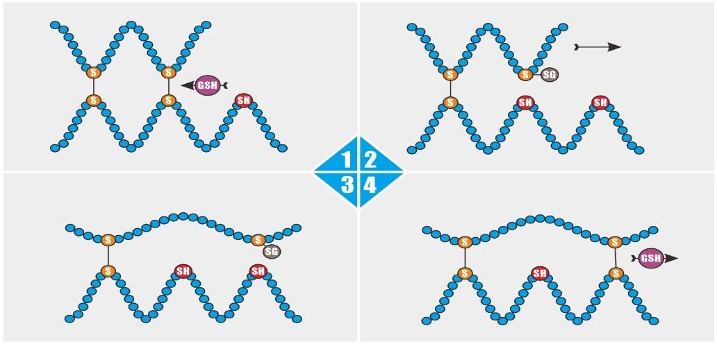 article-pic-1.jpg article-pic-1.jpg