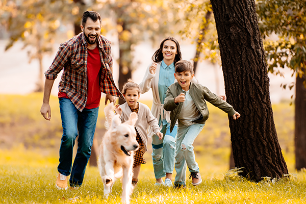 Beyond digestive health: Modulating the gut microbiota with yeast beta-glucan to drive body-wide effects Beyond digestive health: Modulating the gut microbiota with yeast beta-glucan to drive body-wide effects