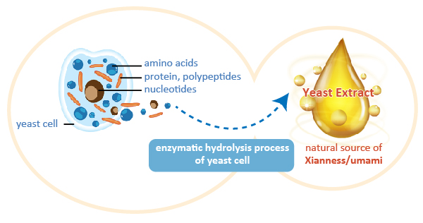 xianness YE_画板 1.jpg xianness YE_画板 1.jpg