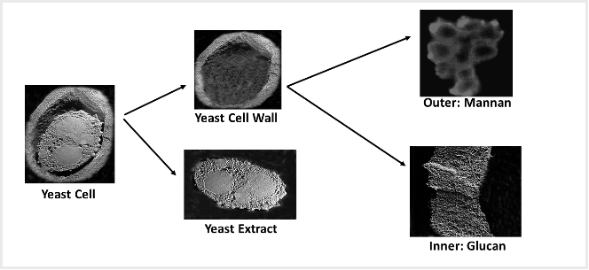 图片12.png 图片12.png