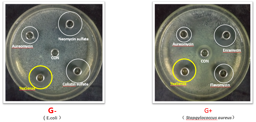 图片10.png 图片10.png