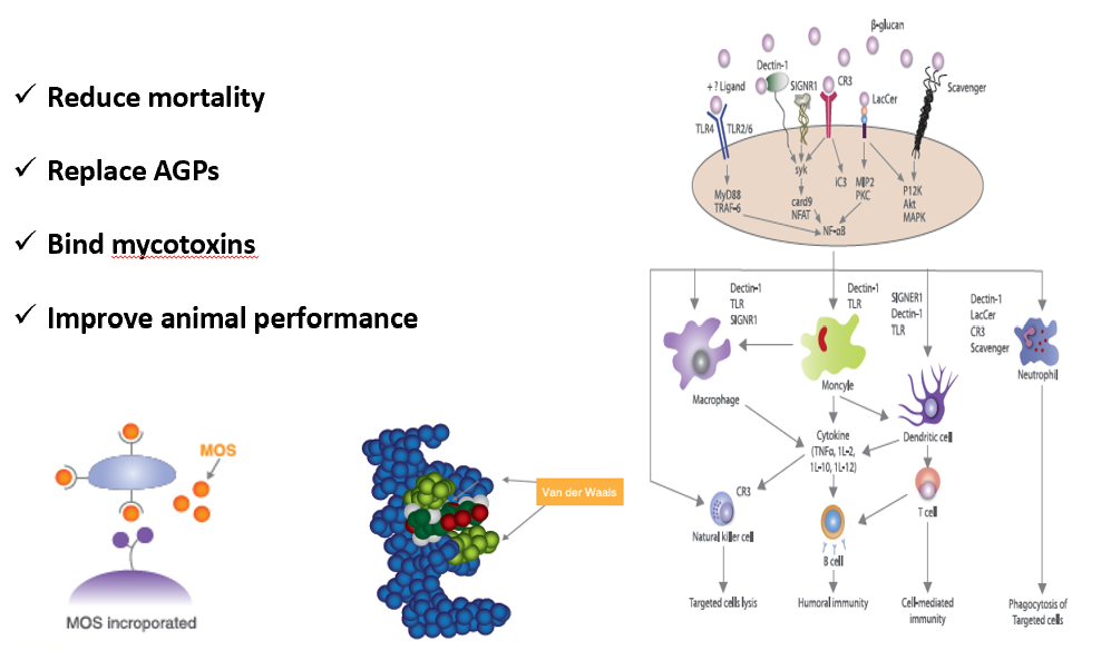 图片13.png 图片13.png
