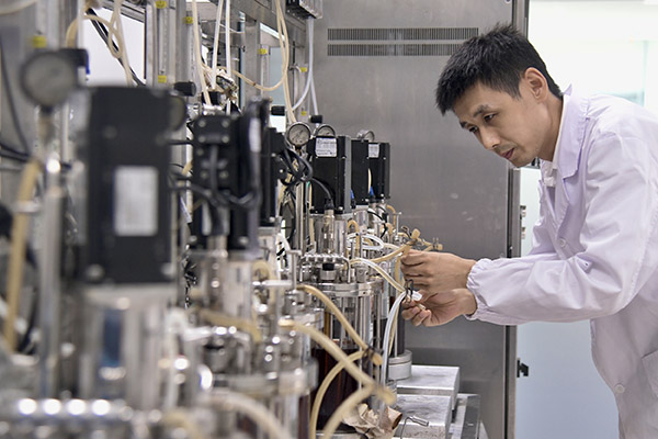 DSC_2247 2web.jpg DSC_2247 2web.jpg