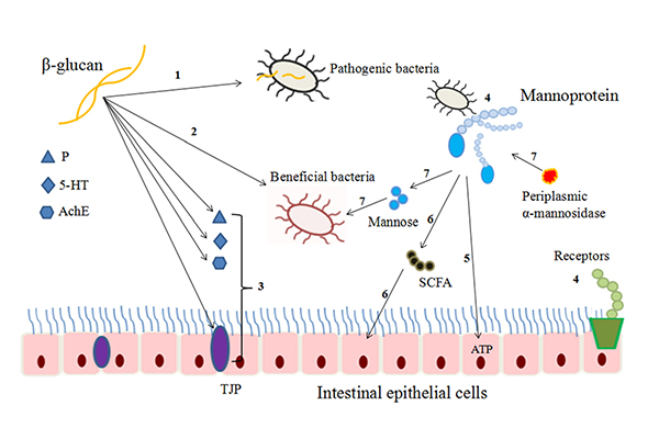 未标题-1.jpg 未标题-1.jpg