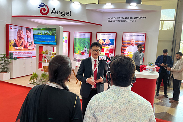 正文图.jpg 正文图.jpg