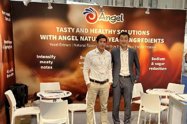 1_画板 1.jpg 1_画板 1.jpg