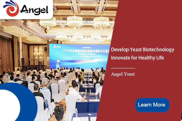 Angel Yeast Premade Dishes Conference.jpg