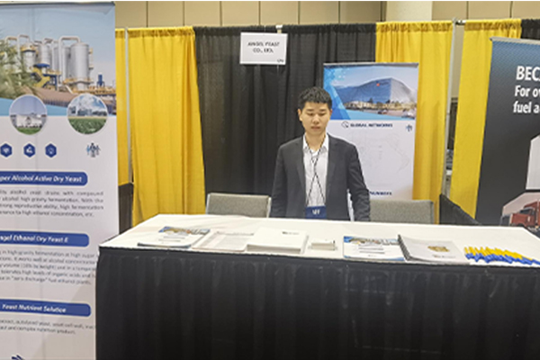 222222.jpg 222222.jpg