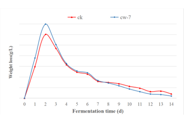 2222222.jpg 2222222.jpg