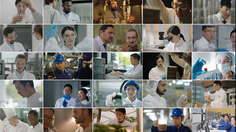 angel-yeast-employees(1).jpg angel-yeast-employees(1).jpg