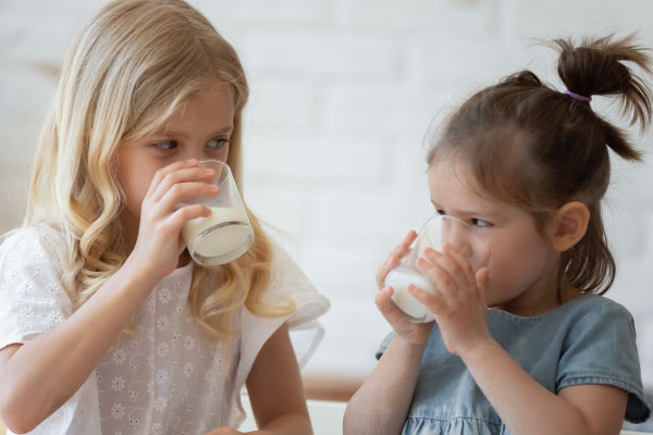 How to boost nutrition in plant milk while improving the flavor and texture with yeast protein