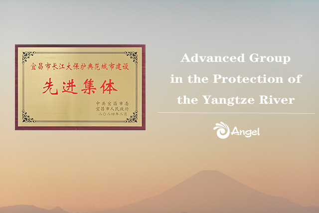 advanced-group-in-protection-of-Yangtze-river.jpg advanced-group-in-protection-of-Yangtze-river.jpg