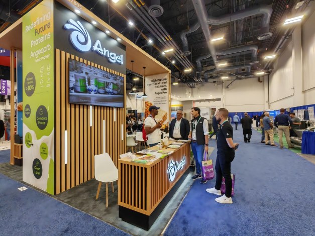 IBIE-2.jpg IBIE-2.jpg