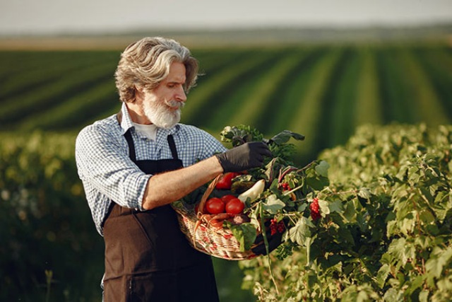 The Core Components and Differentiated Advantages of Yeast Metabolites