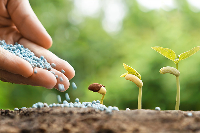 Yeast Metabolites: A New Approach to Enhancing Fertilizer Efficiency