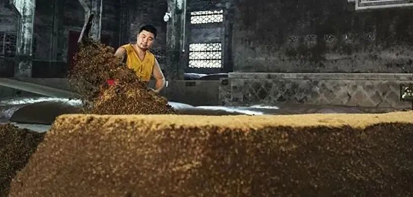 安琪酿酒曲优化研究