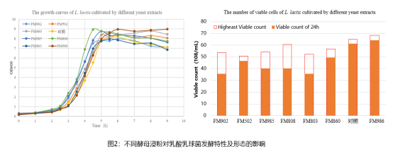 有机氮源维持菌体的稳定期，提高菌体活力