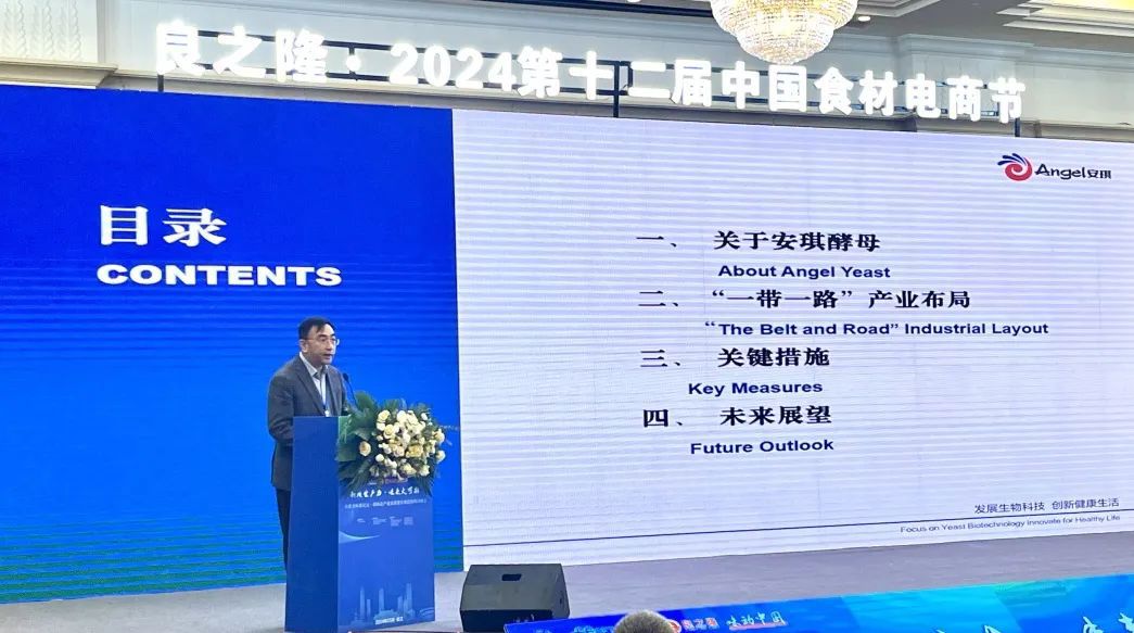 安琪YE事业部郭江勇总经理分享安琪一带一路国际产业化布局