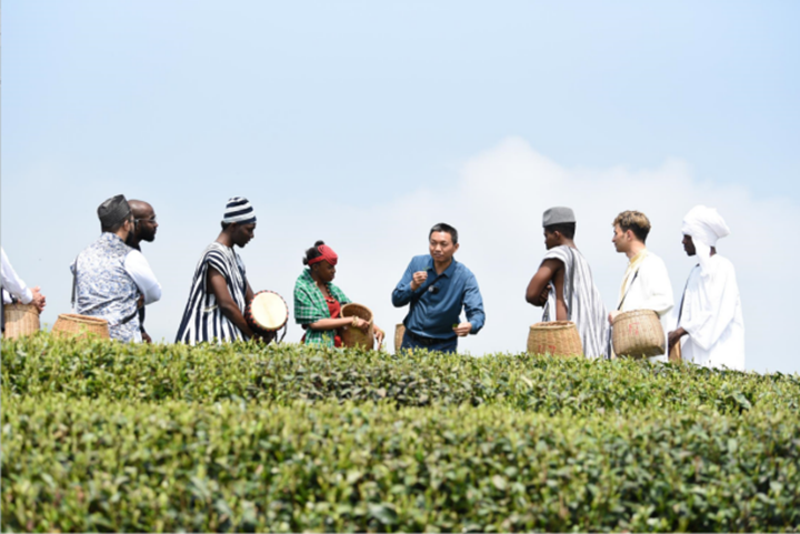 大风口茶园负责人
