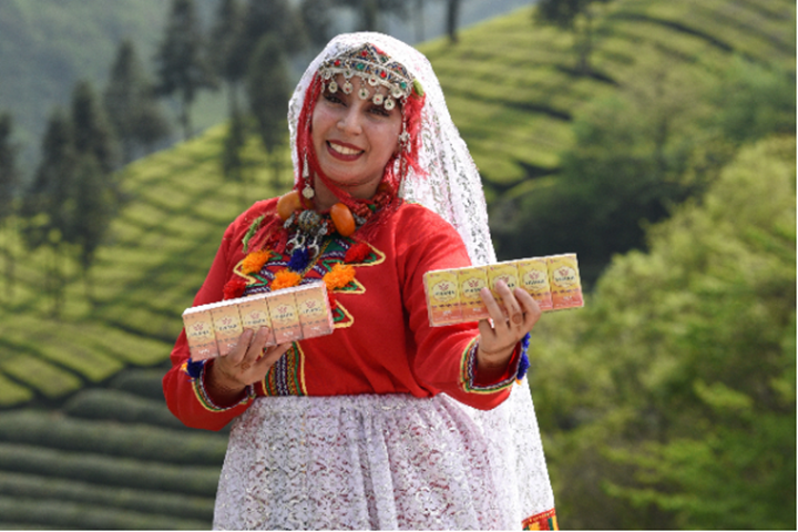 留学生们纷纷亲身体验了采茶、制茶